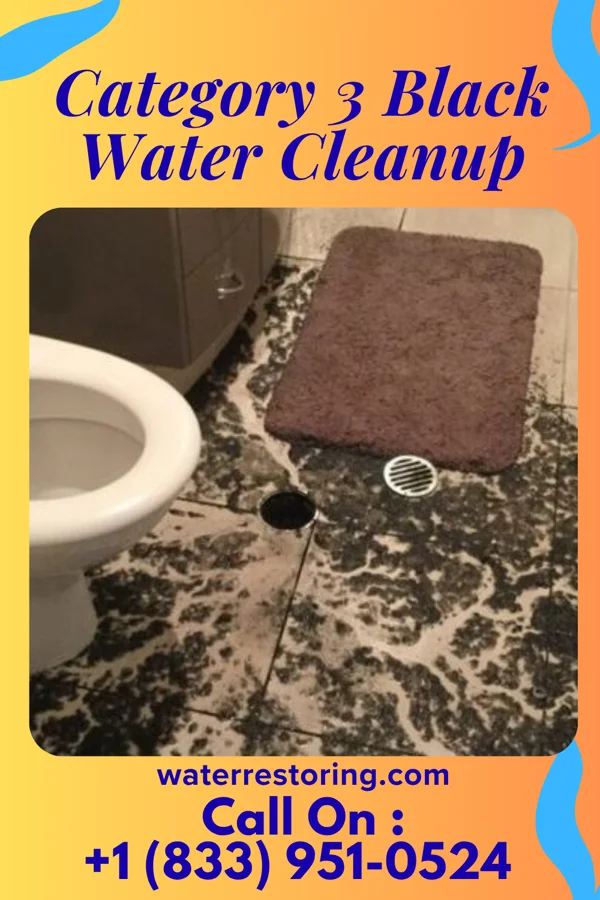 Category 3 Black Water Cleanup in Bloomington, IL