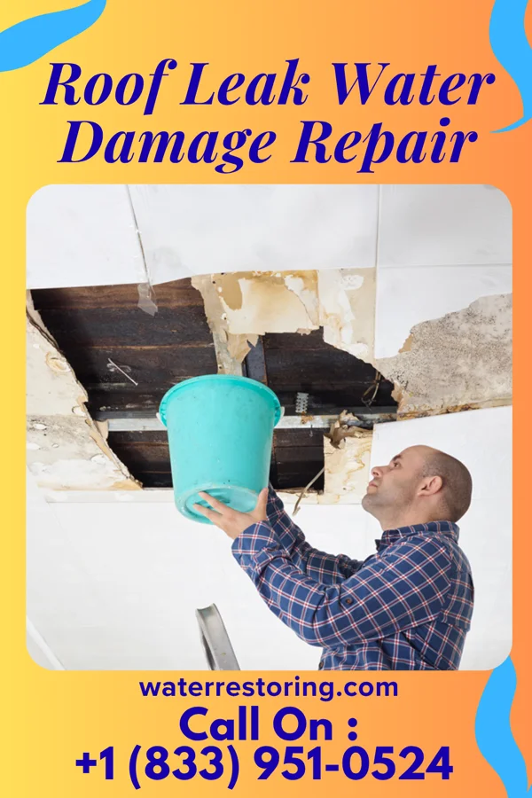 Roof Leak Water Damage Repair in Bloomington, IL