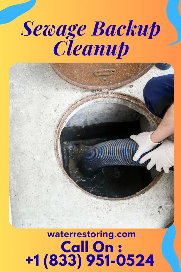 Sewage Backup Cleanup in Bloomington, IL